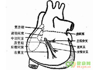 预激综合征